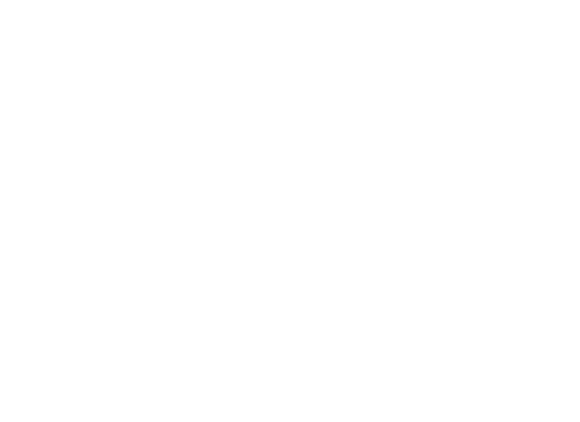total energies