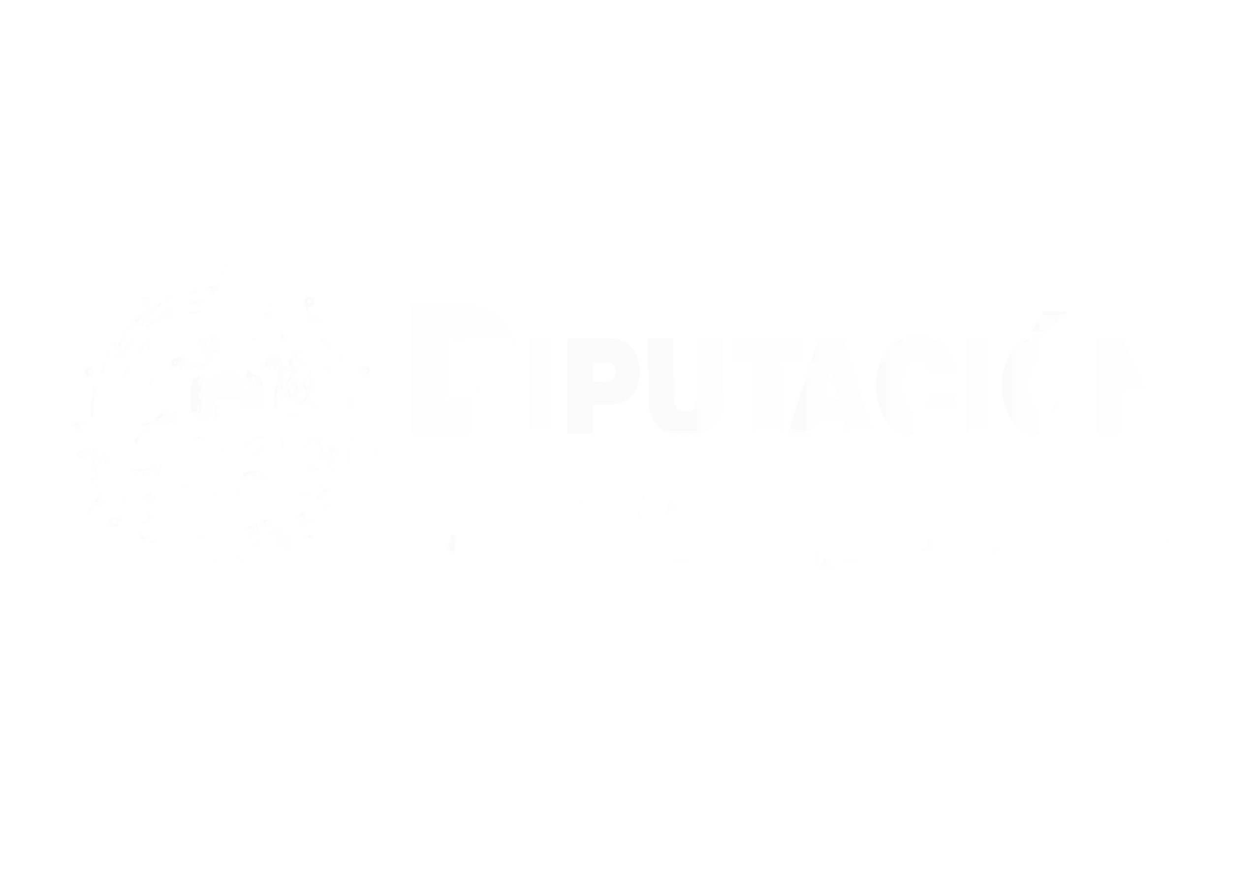 DIPUTACION VALLADOLID